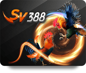 Tìm Hiểu VSBET Review Chuyên Môn Trước Khi Tham Gia Đặt Cược
